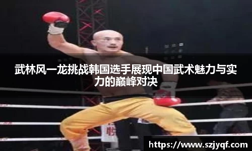 武林风一龙挑战韩国选手展现中国武术魅力与实力的巅峰对决
